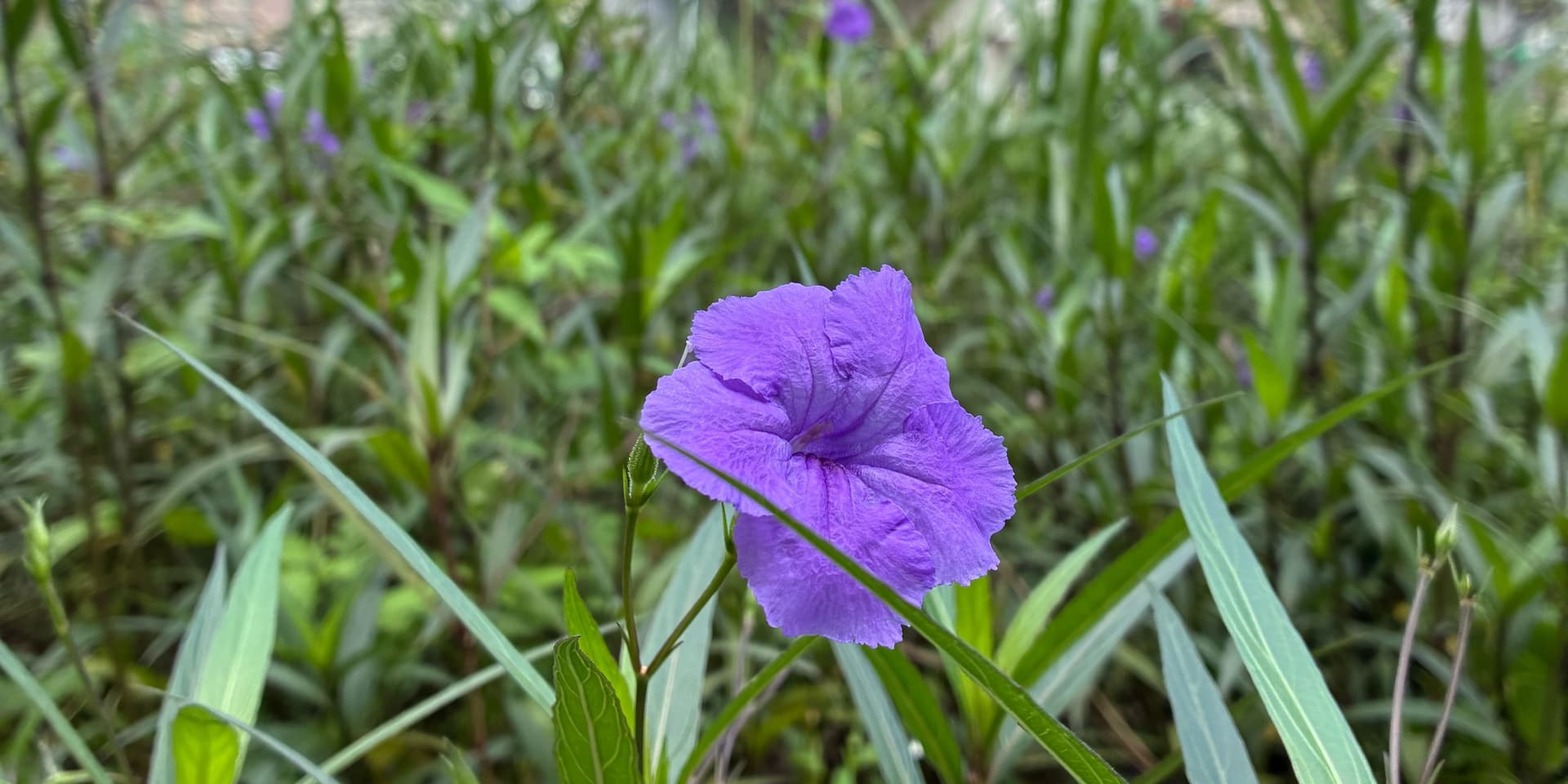 活動封面圖
